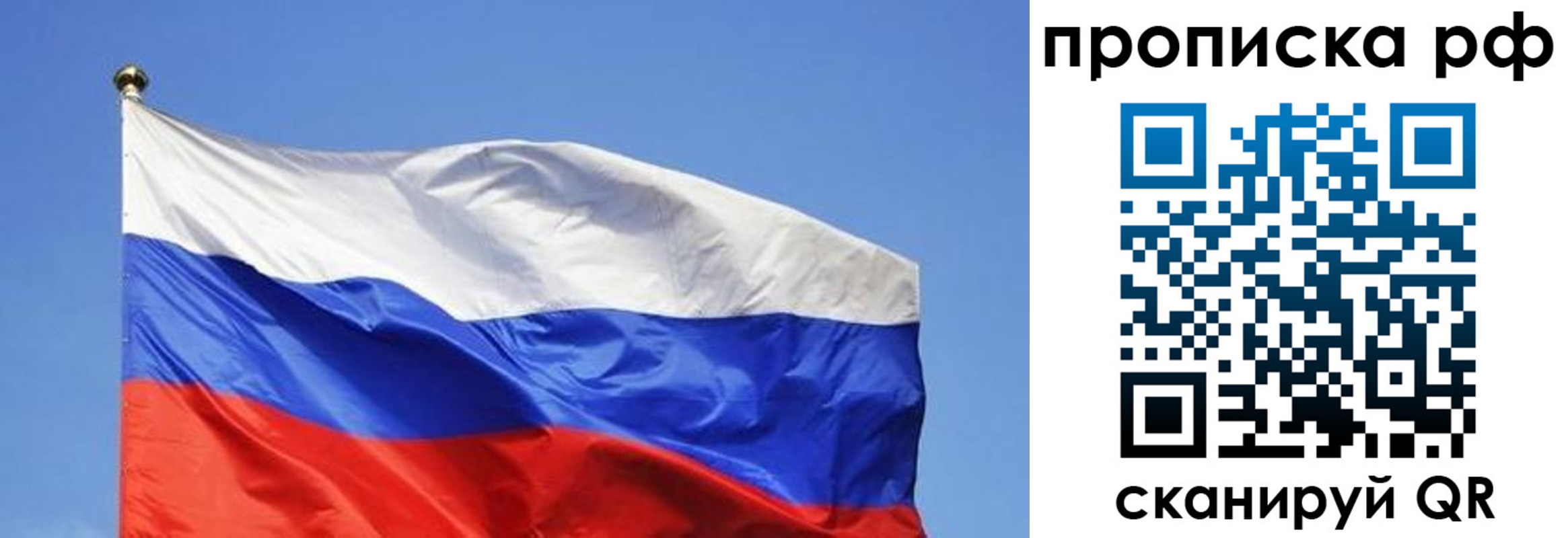 прописка поиск в Коврове